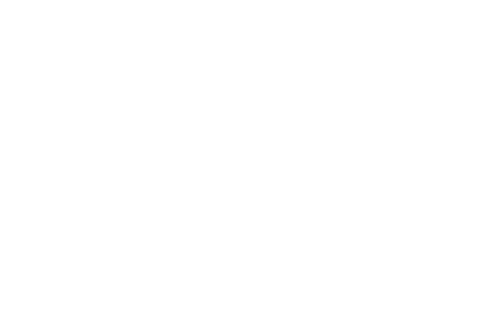 Living CA Realty logo