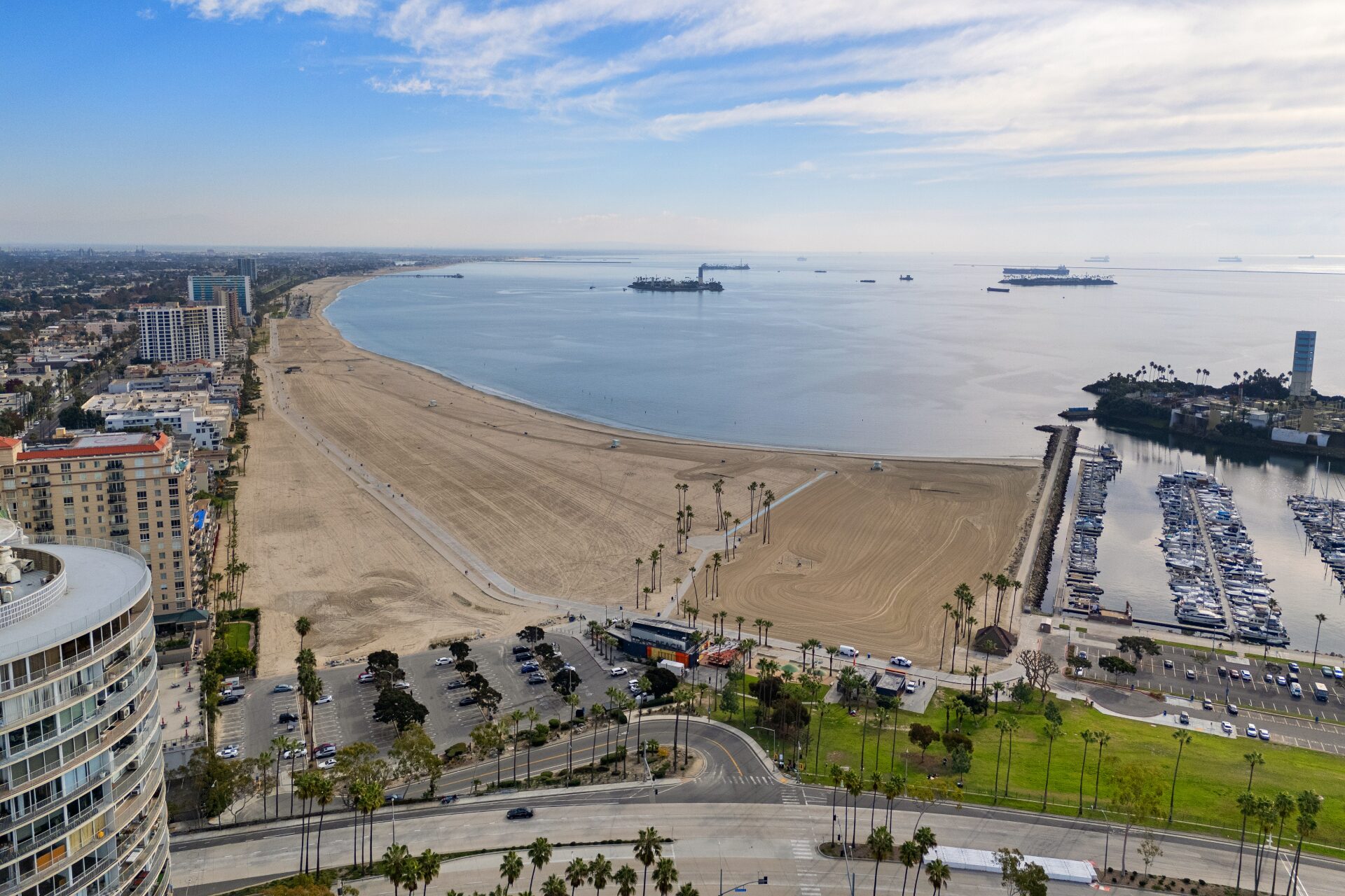 Aerial view of Long Beach beach, marina, and palm-lined Ocean Blvd from 488 E Ocean Blvd